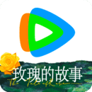 我的心爱之物鞋子事例